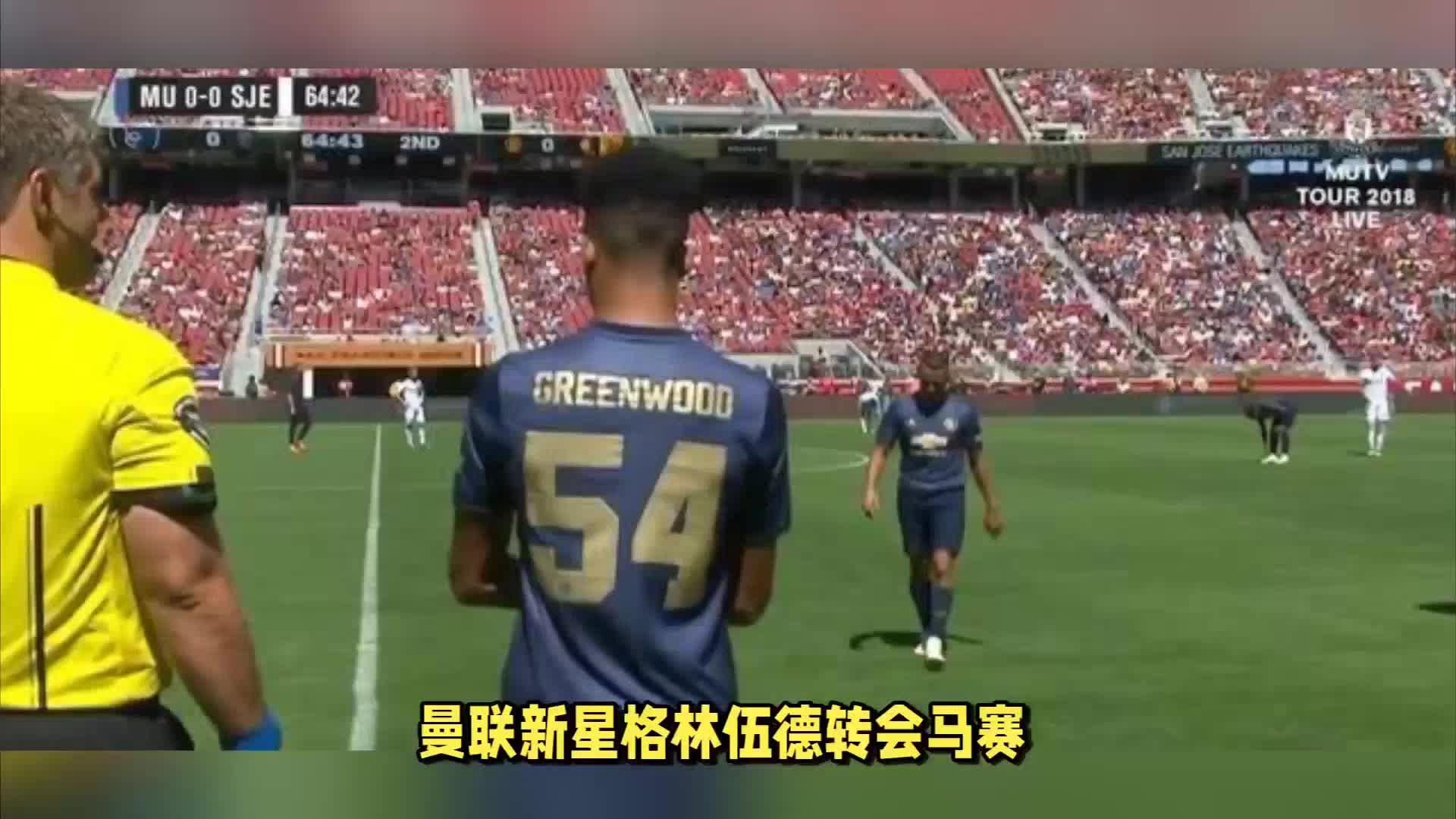 类似策
