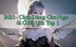 b123 cách dùng cho người ở Hà Nội top 1