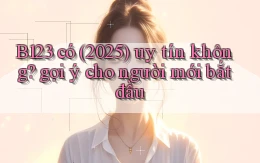 B123 có (2025) uy tín không gợi ý cho người mới bắt đầu