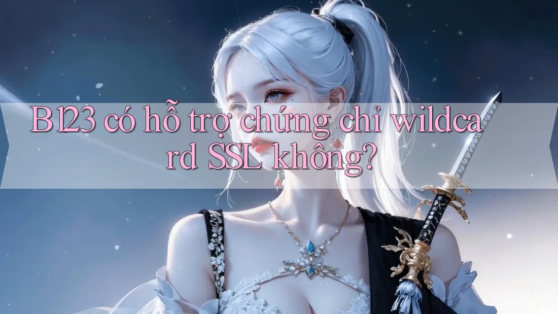 B123 có hỗ trợ chứng chỉ wildcard SSL không?