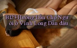 b123 hướng dẫn cho người ở Vĩnh Long dẫn đầu