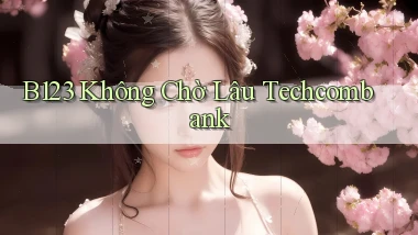 b123 không chờ lâu techcombank