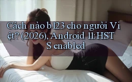 Cách nào b123 cho người Việt (2026), Android 11 HSTS enabled