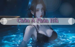 Châu Á Phản hồi