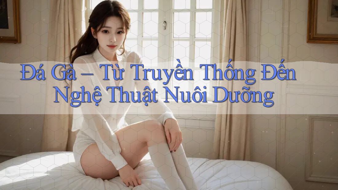 Đá Gà – Từ Truyền Thống Đến Nghệ Thuật Nuôi Dưỡng Đá Gà – Từ Truyền Thống Đến Nghệ Thuật Nuôi Dưỡng